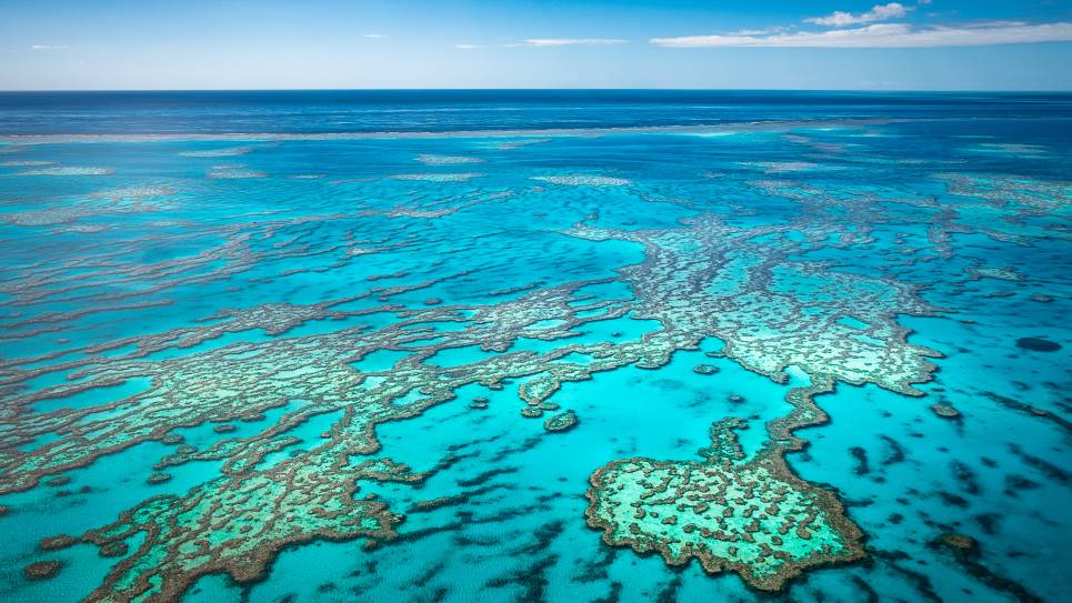 Great Barrier Reef, Australia