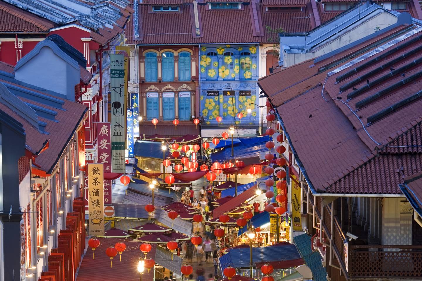 World of Wellness – May 2026