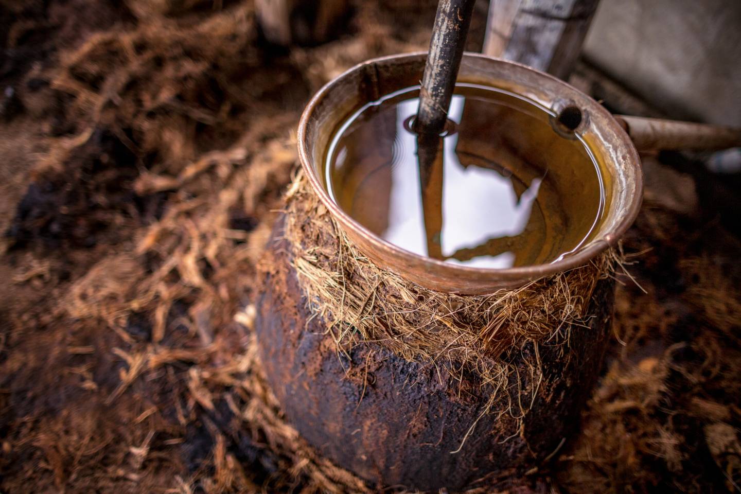 Mezcal Distillery Oaxaca Mexico