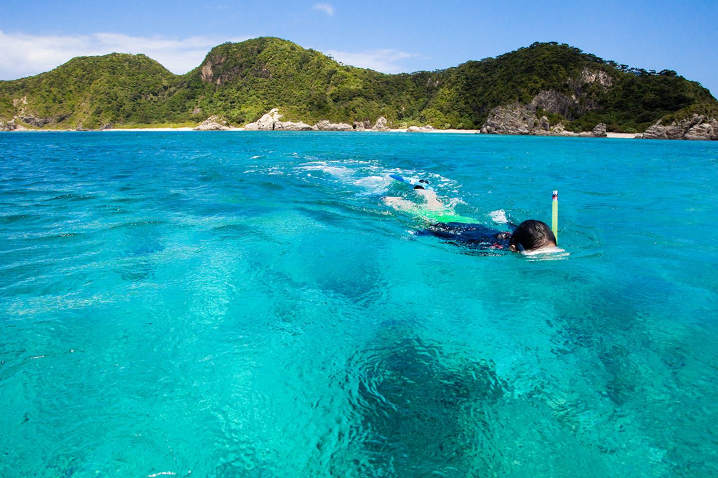 Snorkeling and Diving Amid Coral Reefs