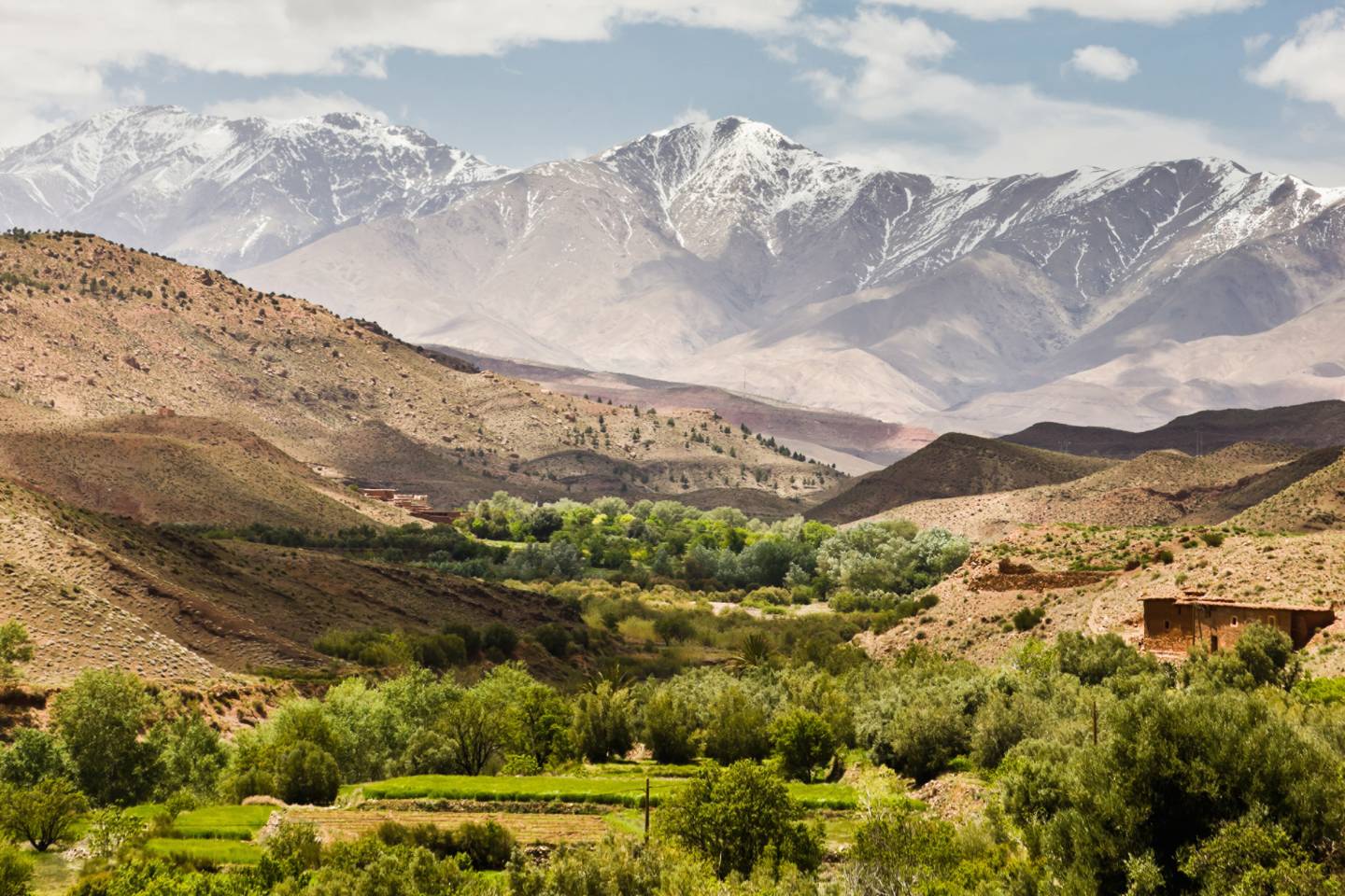 World of Wellness – May 2026