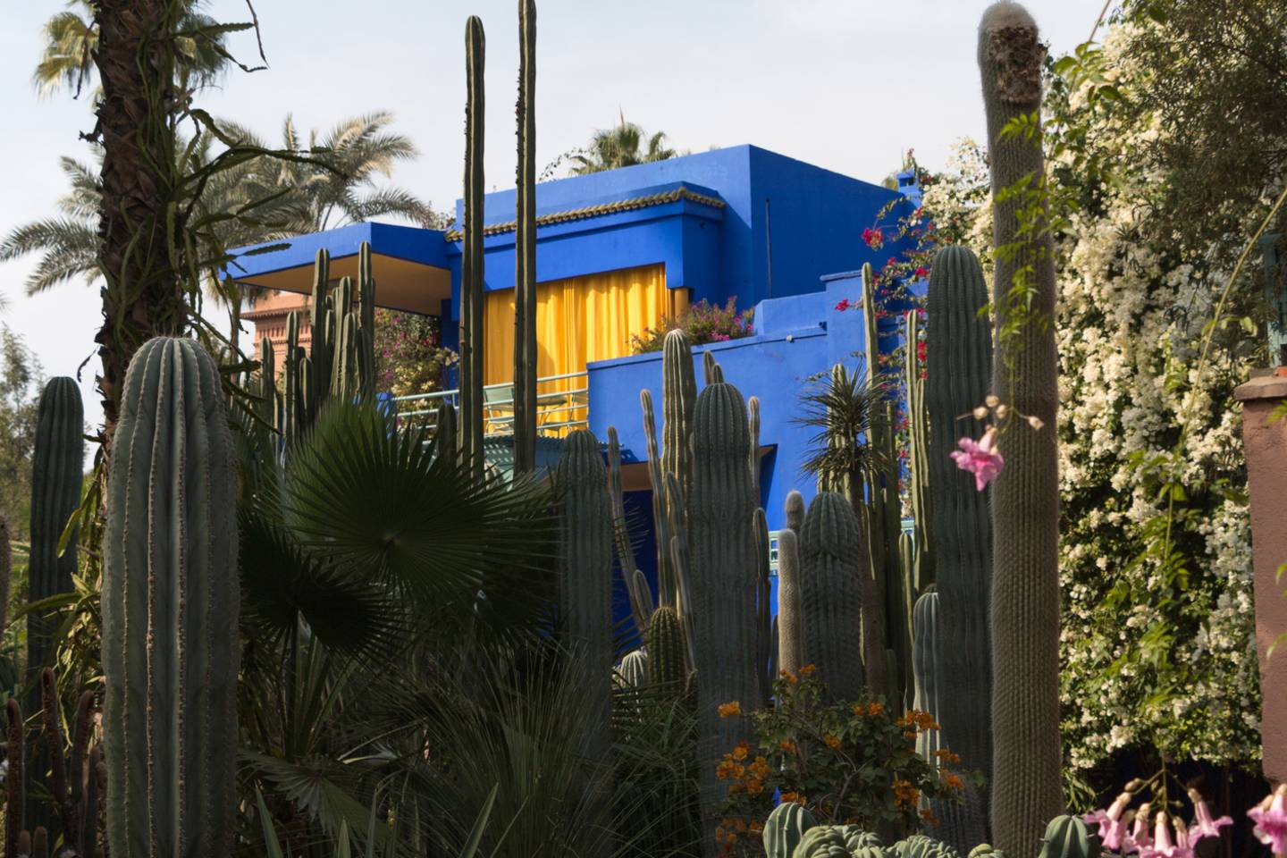 World of Wellness – May 2026