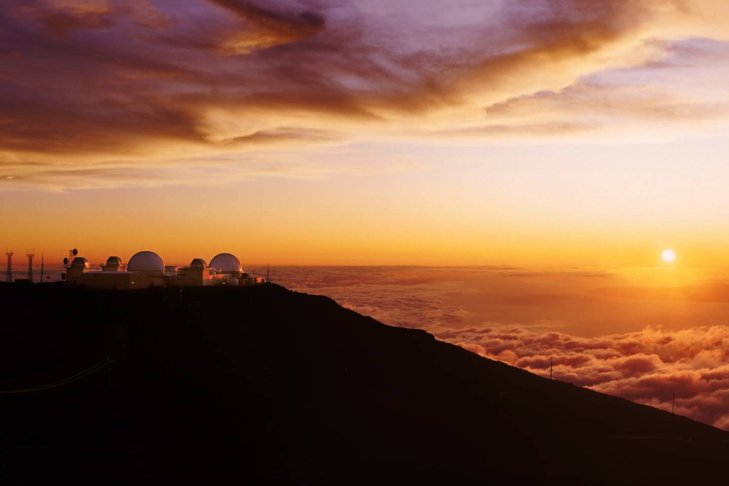 World of Wellness – May 2026