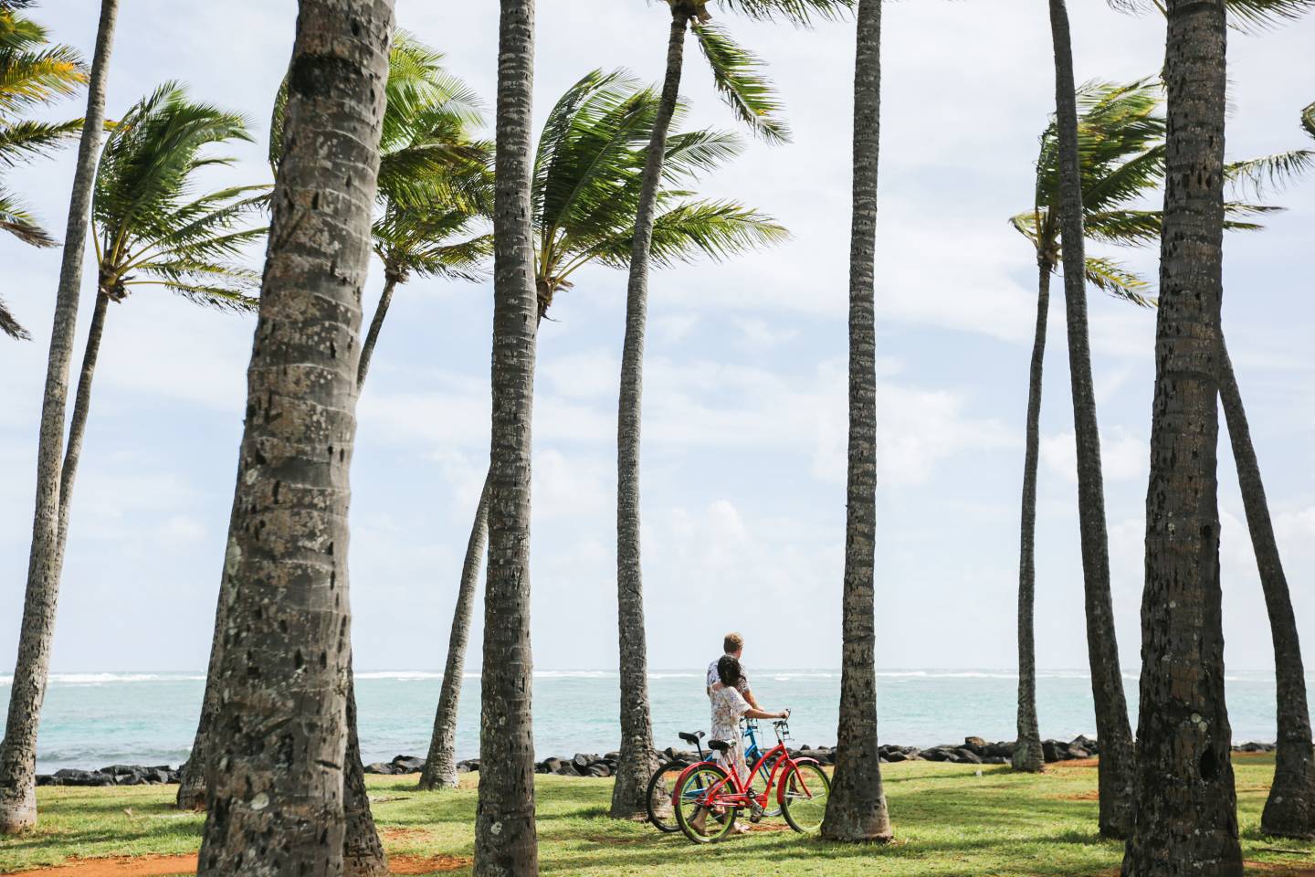 World of Wellness – May 2026