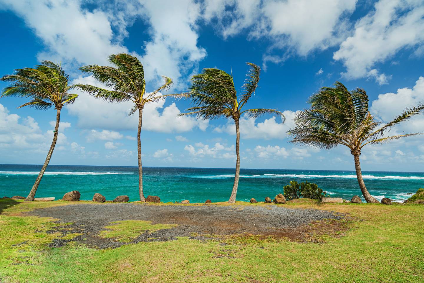 World of Wellness – May 2026