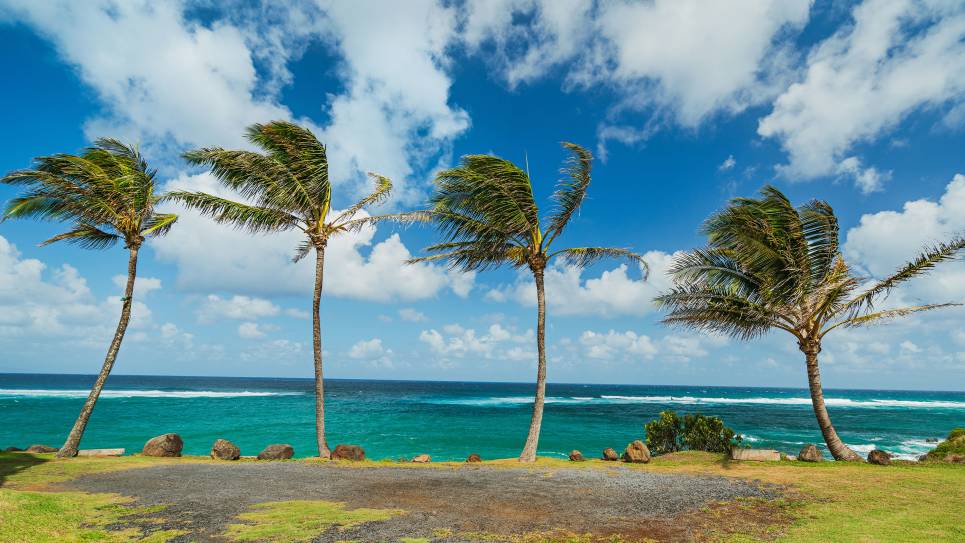 World of Wellness – May 2026