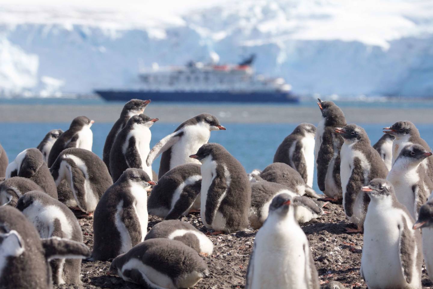 Uncharted Discovery – Jan 2027