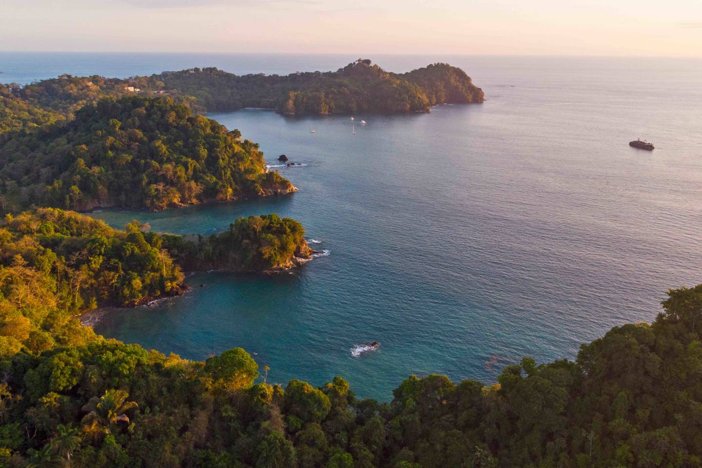 Uncharted Discovery – Jan 2027