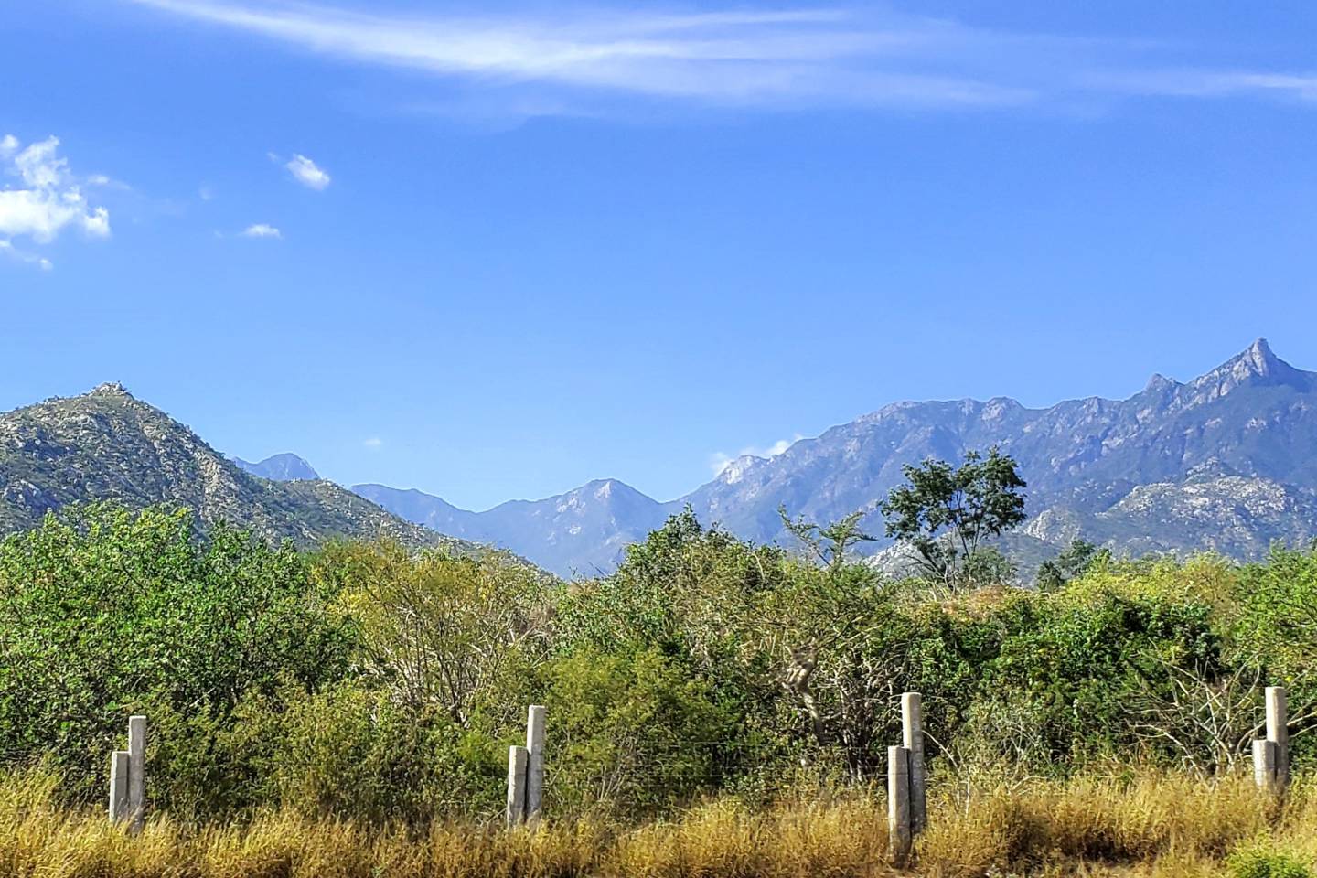 New World Icons – March 26, 2027