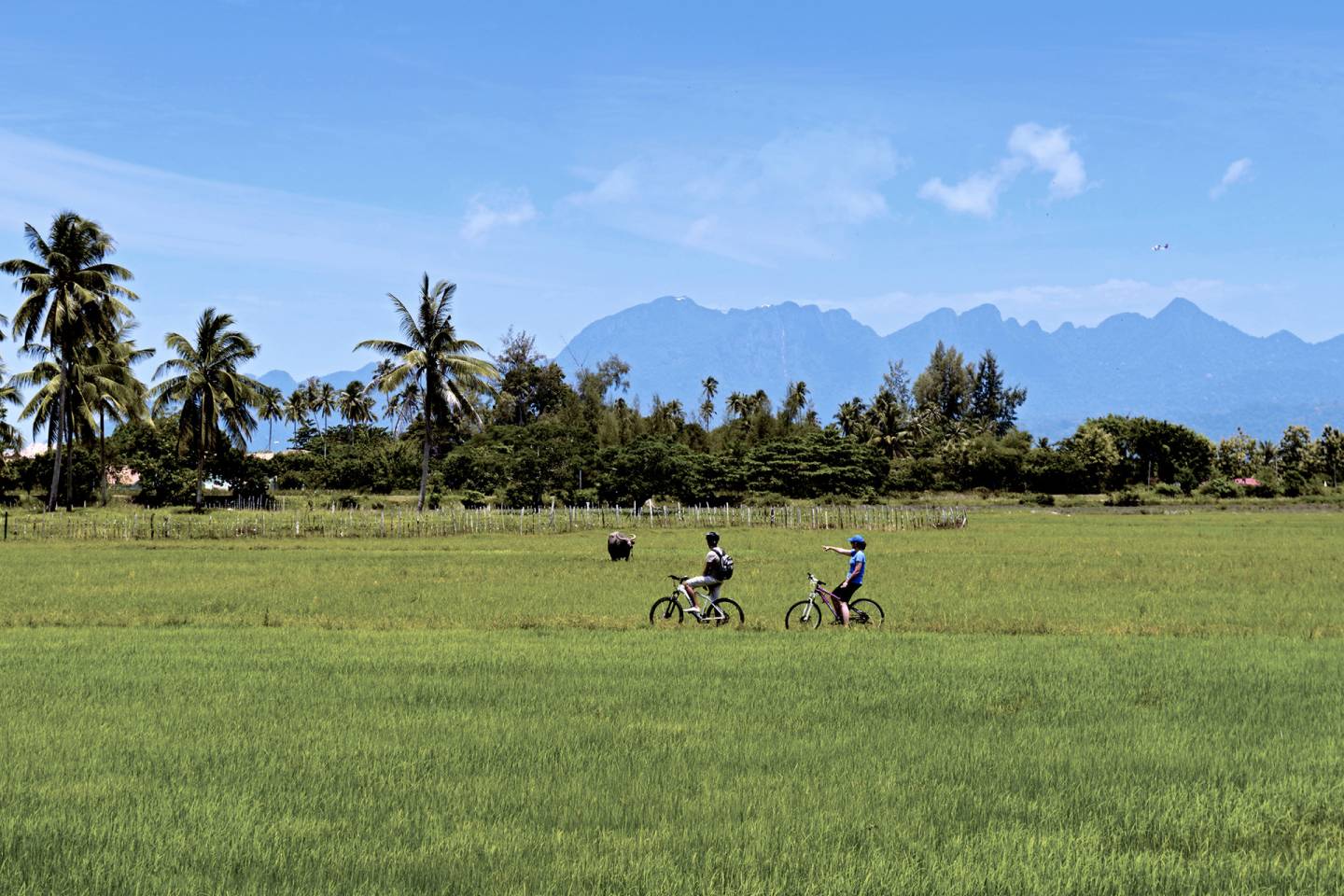 New World Icons – March 26, 2027