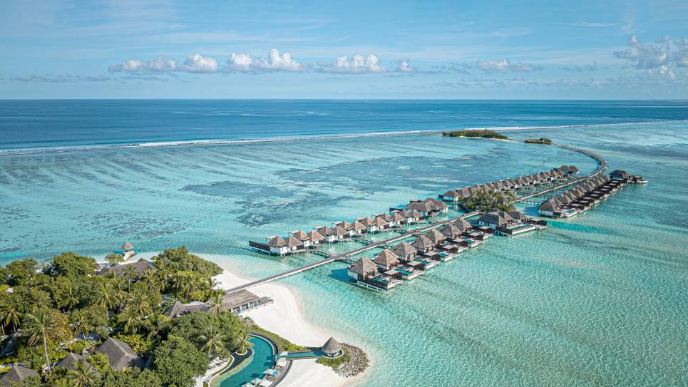 International Intrigue 2026