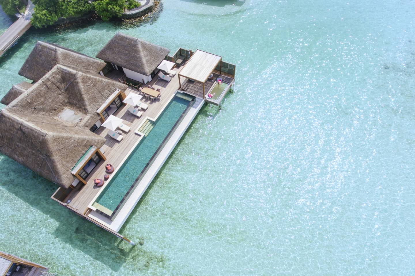 World of Wellness – May 2026