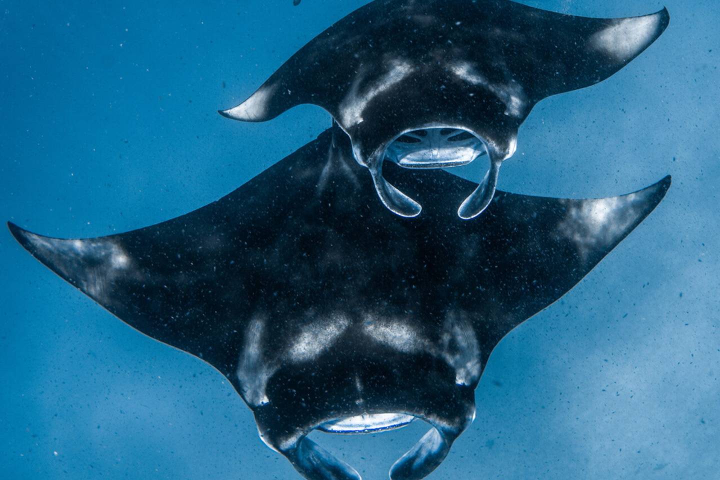 Timeless Encounters – February 2, 2026