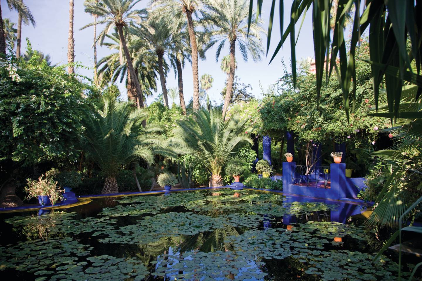 World of Wellness – May 2026