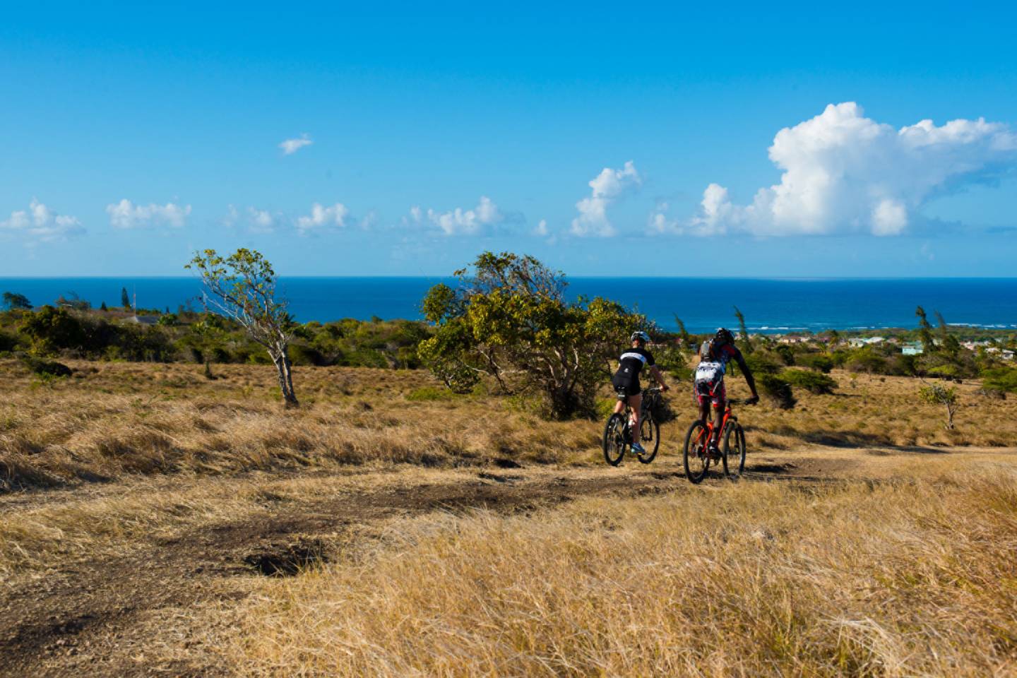 World of Wellness – May 2026