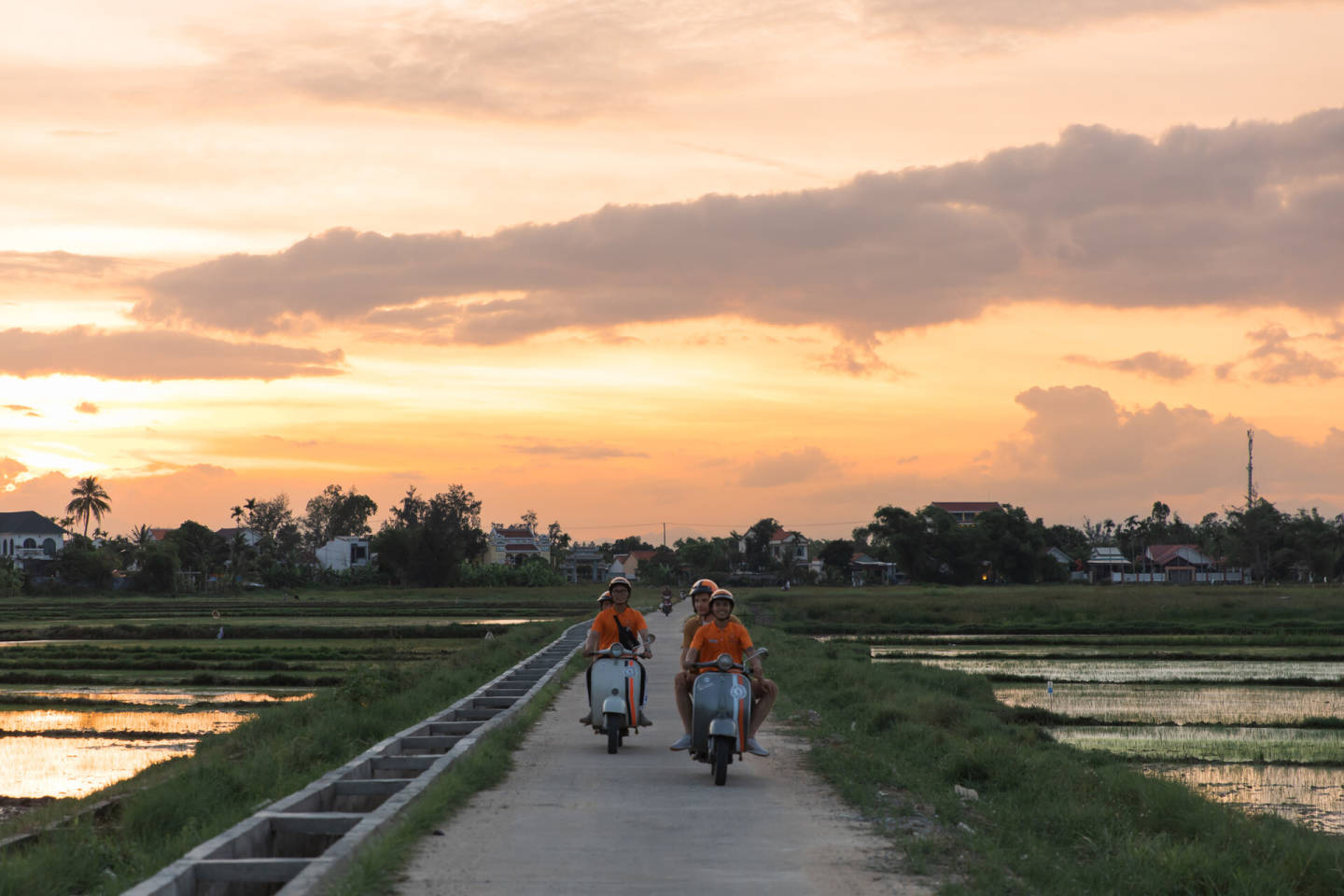 International Intrigue 2026