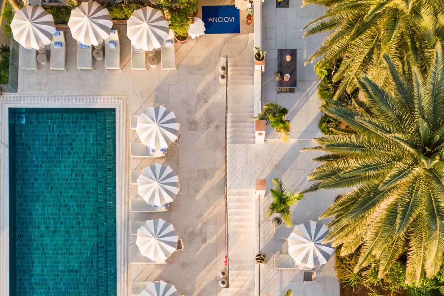 World of Wellness – May 2026