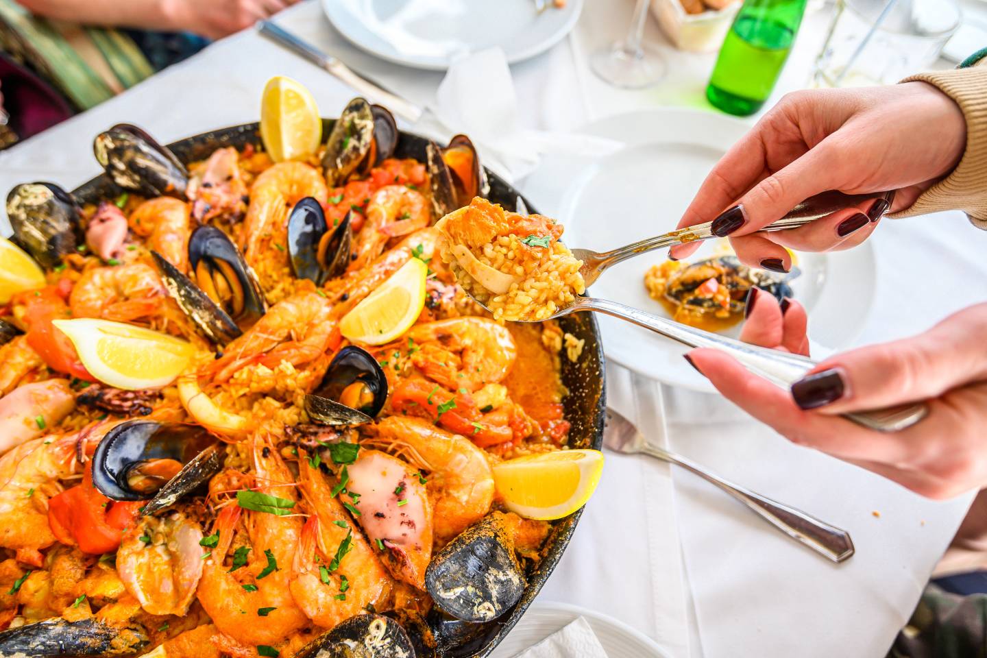 Exploring Africa 2026