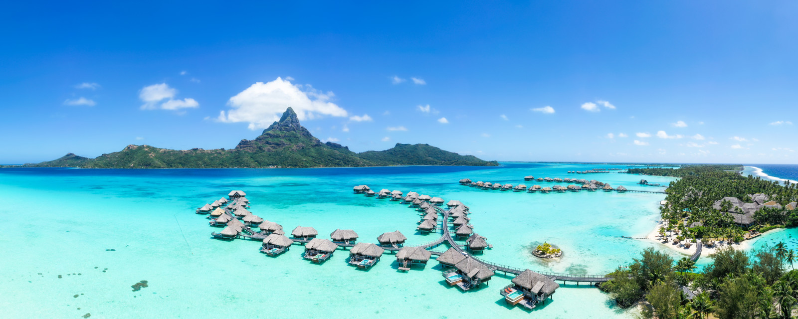 Timeless Encounters – February 2, 2026