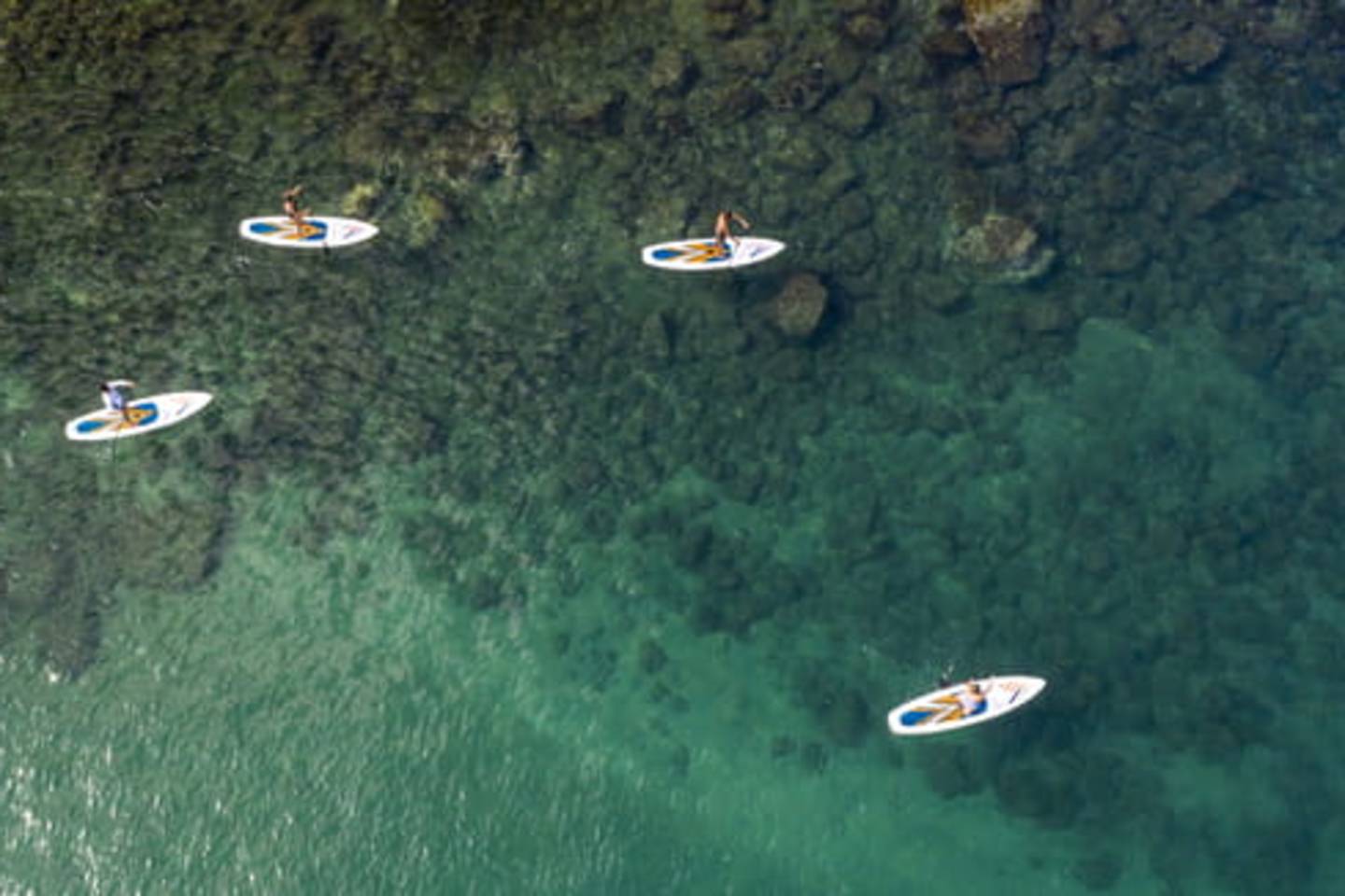 Uncharted Discovery – Jan 2027