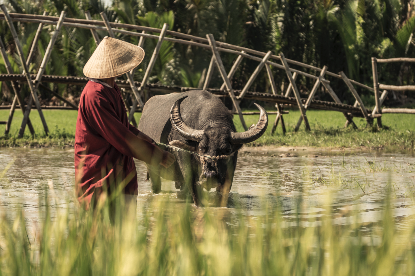 International Intrigue 2026